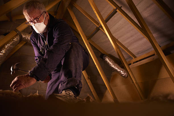 Best Insulation Installation Services in Center, TX