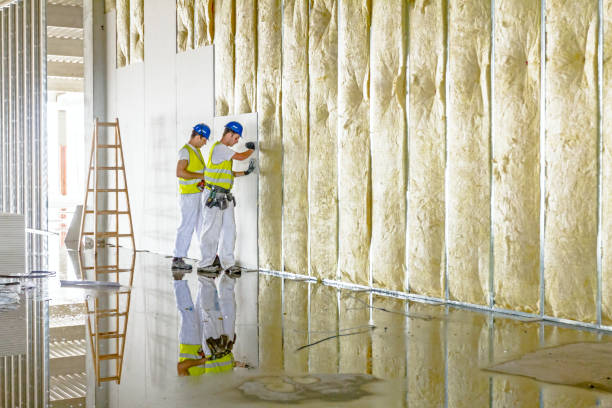 Best Types of Insulation in Center, TX